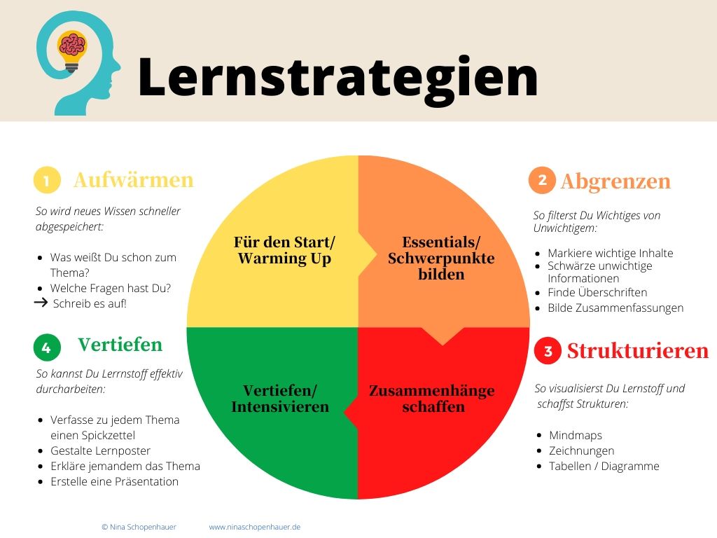Weißt Du, wie Du gut lernen kannst? 🙃 Bildungsevolution